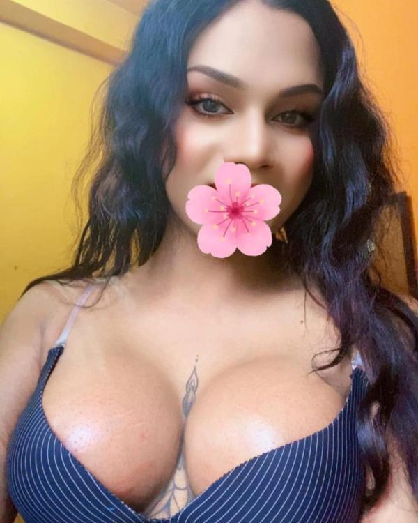 Verified Shemale Cam Show Beautiful Shemale Genuine Live Cam Show Available ❤️😇