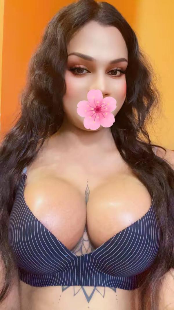 Verified Shemale Cam Show Beautiful Shemale Genuine Live Cam Show Available ❤️😇