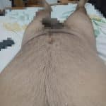 Lesbian couple and real couple threesom service