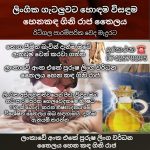පුරුෂ ලිංග වර්ධන තෛලය