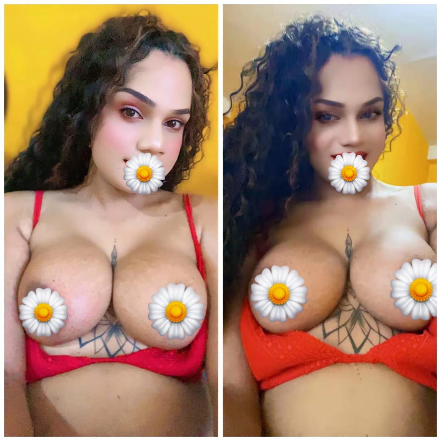 Verified Shemale Cam Show Beautiful Shemale Genuine Live Cam Show Available ❤️😇