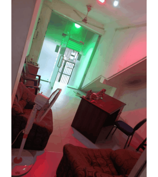 GIF 20260419 080456 306