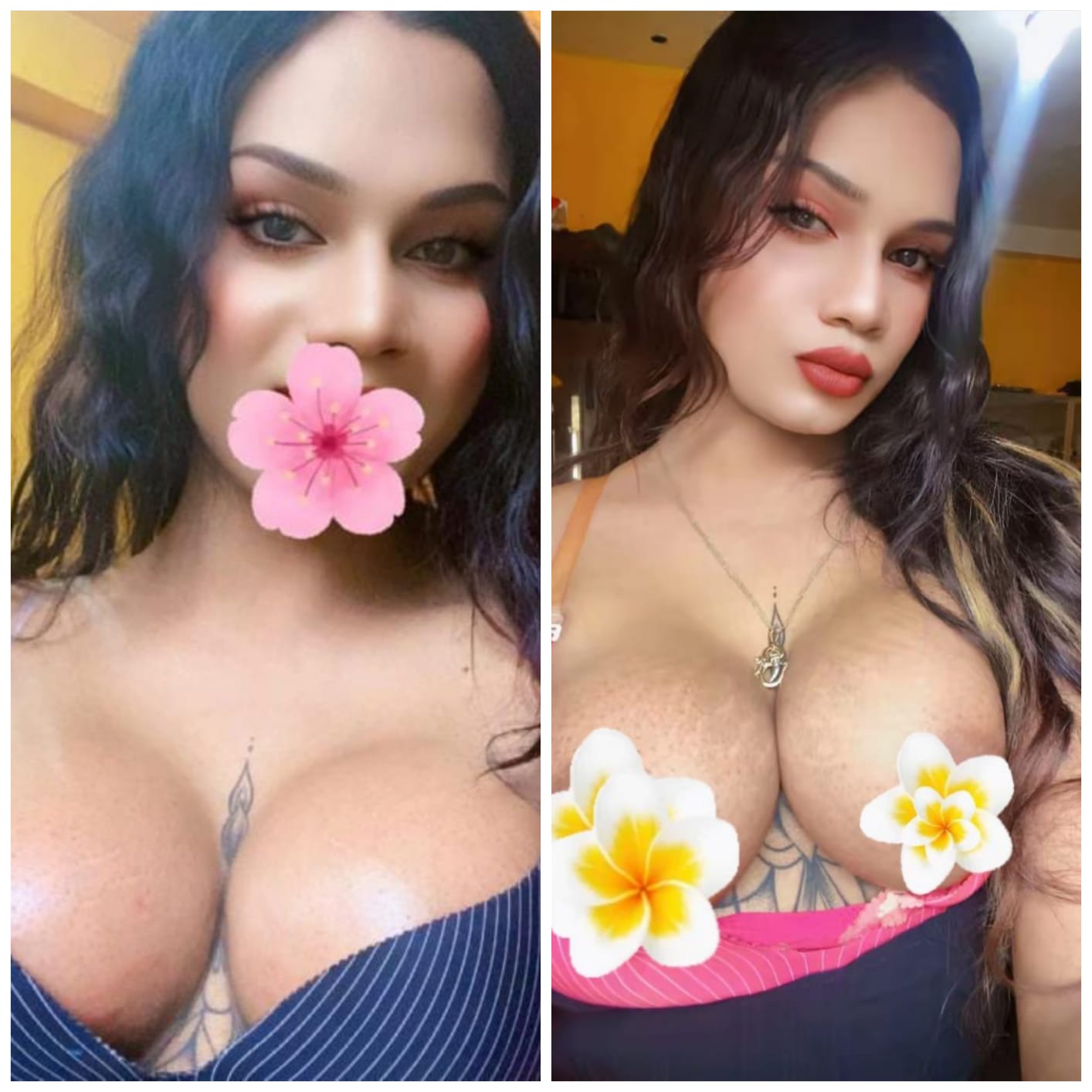 Verified Shemale Cam Show Beautiful Shemale Genuine Live Cam Show Available ❤️😇