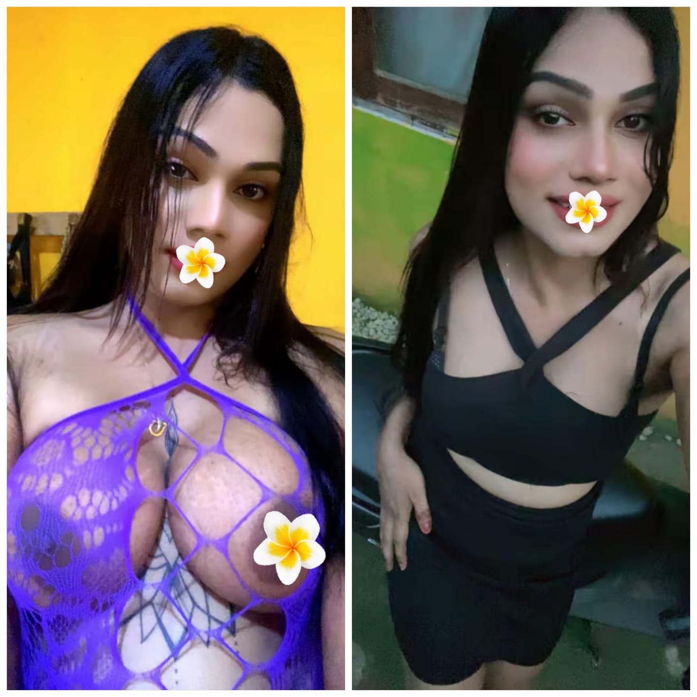 Verified Shemale Cam Show Beautiful Shemale Genuine Live Cam Show Available ❤️😇