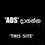New Lanka Ads - Sri Lanka Best Personal Ad Platform, Spa Add Post Your ‘ADS දැන්වීමක් පළකිරීම සදහා සහය
