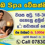 කොළඹ SPA JOB VACANCY 💆♀️